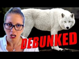 A Biologist Reacts to Dire Wolf De-Extinction