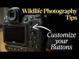 Wildlife Photography Tips for Beginners: Customize Your Camera Buttons for Success in the Field