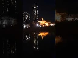 Cherry Blossoms at Night in Ueno Park 桜