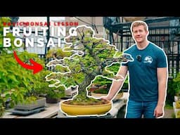 BONSAI 101 | Fruiting Bonsai Techniques | Bonsai-U