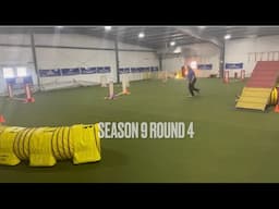 AKC Agility League Season 9 Round 4 | Limited Division