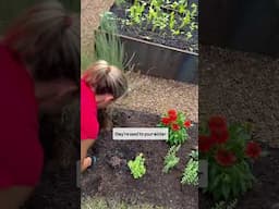 Did you know plants take care of each other? Native plants prevent pests🌿#garden #nativeplants