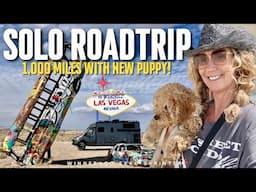 FIRST SOLO ROADTRIP WITH A PUPPY! 1,000 MILES TO VEGAS | WINNEBAGO EKKO SPRINTER | #travel
