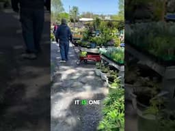One of the Best Garden Centers I’ve ever visited 💪 @JVISecretGardens