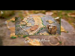 SALPNA & MANVIR | 2024 | TRADITIONAL GADDI WEDDING HIGHLIGHT | K.G PHOTOGRAPHY | 94598-43983