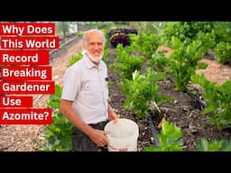 Add Azomite to Your Garden… Will It Grow Better Food?