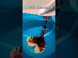 Mermaid #canada #mermaid #mermaidpool #mermaidcosplay #mertailor #swim #pool #underwater #fyp