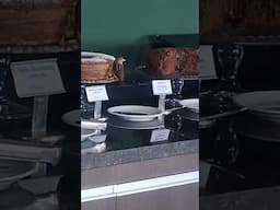 Olha o passarinho comendo bolo de laranja! #pardal #passaros #bolo