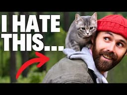 9 Ways You Could Be Slowly Losing Your Cat’s Love (Without Realizing)