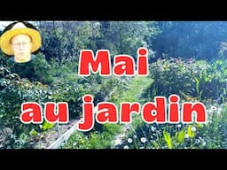 Les Travaux de Mai au Jardin Urbain en Permaculture