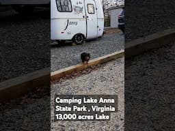 Camping Lake Anna State Park , Virginia