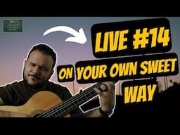 LIVE 🔴 BGI #14: Sambafying “In Your Own Sweet Way” – Groove & Solo Guitar