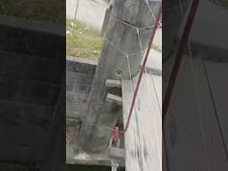 Cabo de aço rompe em ponte de madeira e preocupa moradores do bairro Comasa, em Joinville