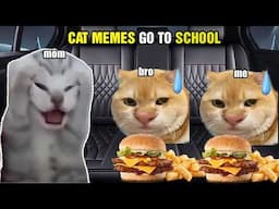 CAT MEMES GO TO SCHOOL