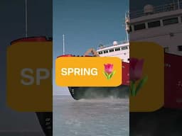 POV: Just Another April Day in Canada 😅 | MOMENTUM | #nfb #weatherforecast