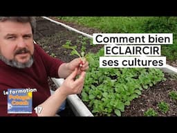 Comment bien ECLAIRCIR ses cultures【La formation Potager Coach - chapitre 17】