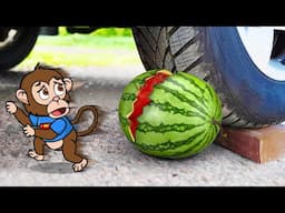 Car Crushing Baby Monkey Bon Bon vs Watermelon 🚓 Crushing Crunchy & Soft Things by Car