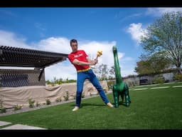 BabaBlast.com for Merch and More!  | Animal & Dinosaur Videos for Kids Live Stream