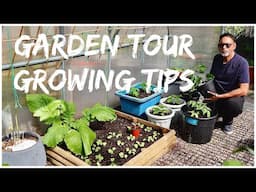 Top Tips For Growing Chillies And Vegetables | Should You Pinch Off Early Pepper Blooms