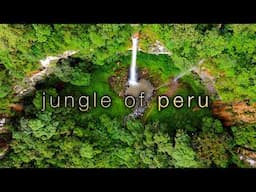 The Untouched Jungle of Peru  | 4K, 1H Ambient Nature Relaxation Film