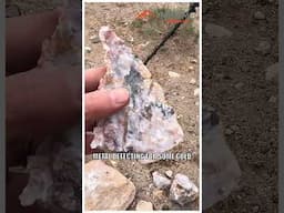 DETECTING FOR GOLD IN THE HIGH DESERT