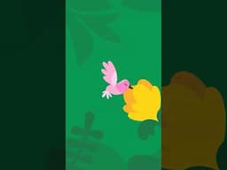 Calm your hummingbird heartbeat with 3 deep breaths. #shorts #hummingbird #breathe