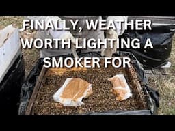 Finally, weather worth lighting my smoker for