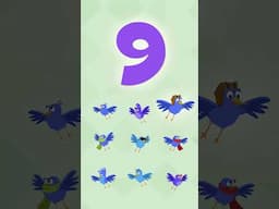 Learn the Number 9 With the Birds! 🐦