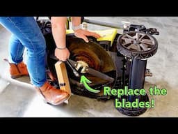 Is It Time to Replace Your Outdoor Tool Blades?