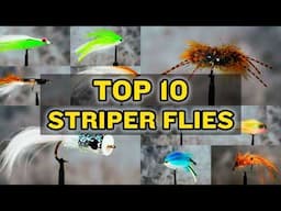 Top 10 Striper Flies That Catch Fish in 2025