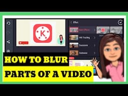 HOW TO BLUR PARTS OF A VIDEO USING GAUSSIAN BLUR