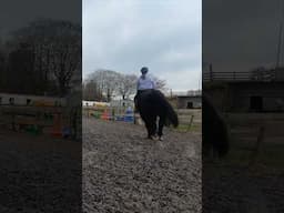 Wee canter on the best boy! #horseriding #canter #horses #learningtoride #scotland #englishriding