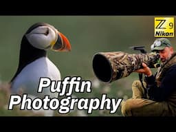 Back to Skomer Island! Puffins Everywhere – Wildlife Photography Part 2