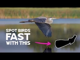 Can This Spotting Scope Make You a Better Bird Photographer?