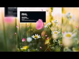PREMIERE: Hernan Cerbello - Save My Drive