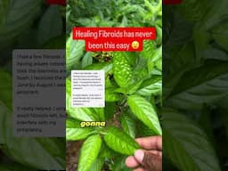 Healing Fibroids Has Never Been This Easy