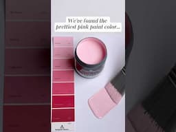 POV: You found the perfect pink paint color from #BenjaminMoore
