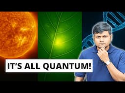 Life Depends on Quantum Mechanics — Here’s How