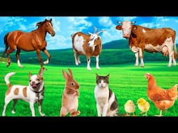 Adorable Animal Sounds - Puppies, Kittens, Chicks, Goat, Sheep, Cow, Sheep - Familiar Animals
