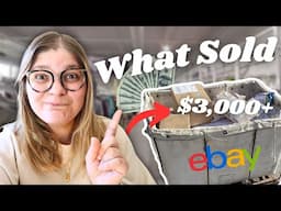 GREAT SALES OVER $50! What Sold on eBay & Poshmark
