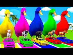 Long Slide Game With Elephant Gorilla Oren Hippopotamus Tiger 3d Animal Game Funny 3d Animals
