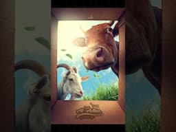 Cow and Goat Editing Eid Adha Theme In Photoshop #photoediting #photoshop #poster