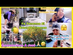 Lo Logramos!🤣Ya Tenemos El Árbol De Limones🍋Vean Que Bonito Se Ve 😍Pintándole El Pelo A Mi Hija