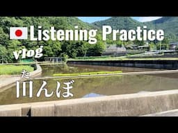 Rice fields in June | Japanese Listening Practice