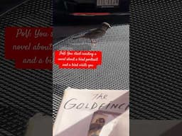 Reality is merely a cosmic novel✨ #readtravelbecome #thegoldfinch