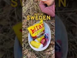 Easter witches, cherry trees, and ski trails – spring in Sweden is full of contrasts 🇸🇪🌸⛷️