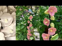How to Make Clay Hollyhock Garden Flowers