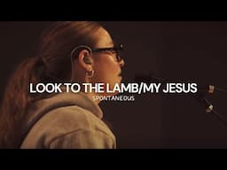 Look to The Lamb/My Jesus - Ashley Stringer (Dwell Set)