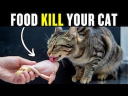 15 Foods You Should Never Feed Your Cat ( Even If Your Cat Beg )