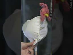Draping a Puppet: Pick a fabric color that matches the feather color